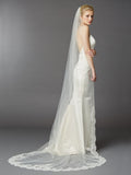 Cathedral lace mantilla veil