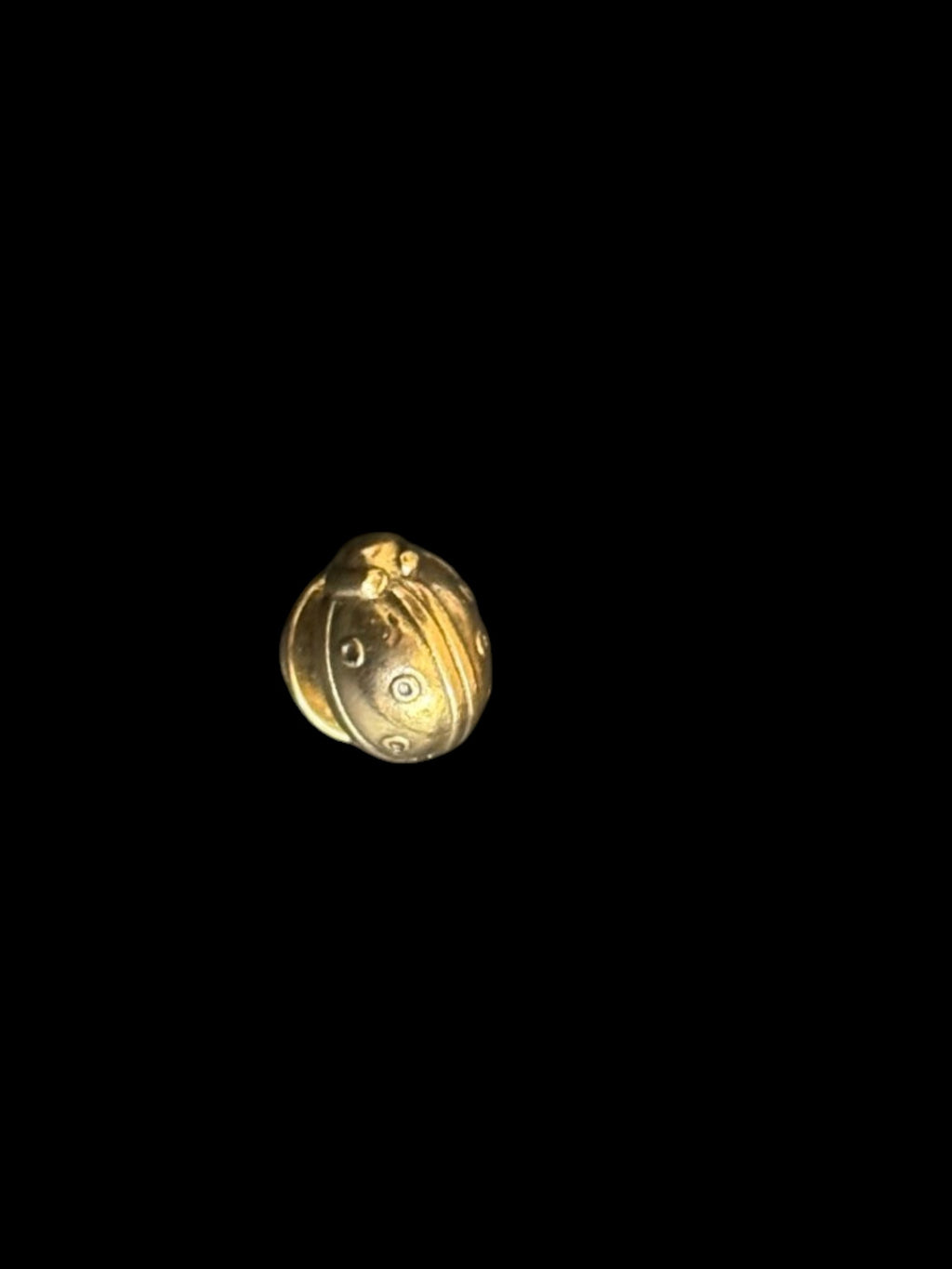 Vintage Gold-Tone Ladybug Tie Tack
