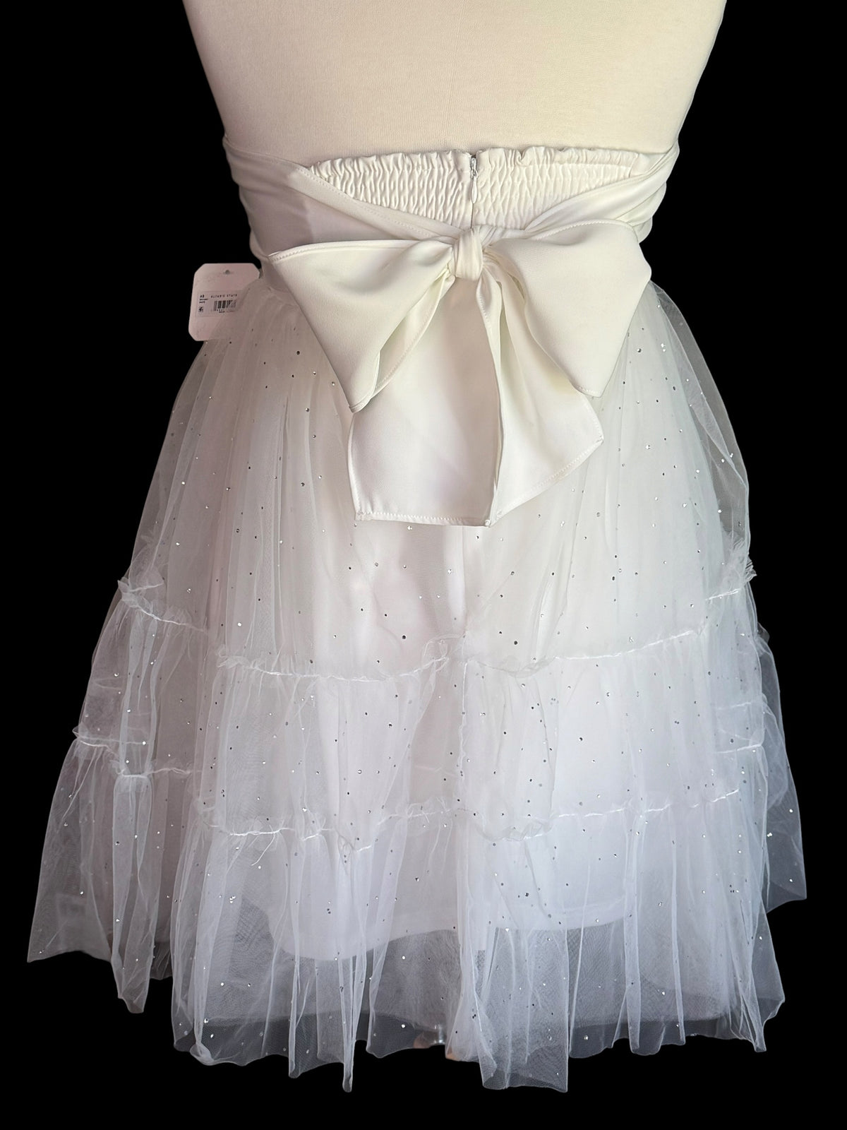 Altar'd State sparkle tulle mini dress, detail